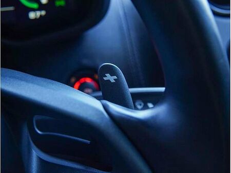 Standard shifter paddle.jpg