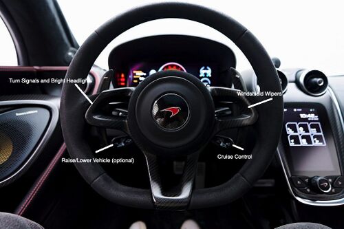 Steering wheel levers.jpg